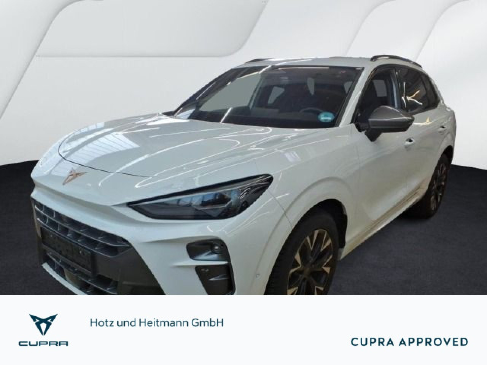 diagonal-frontansicht-aussen