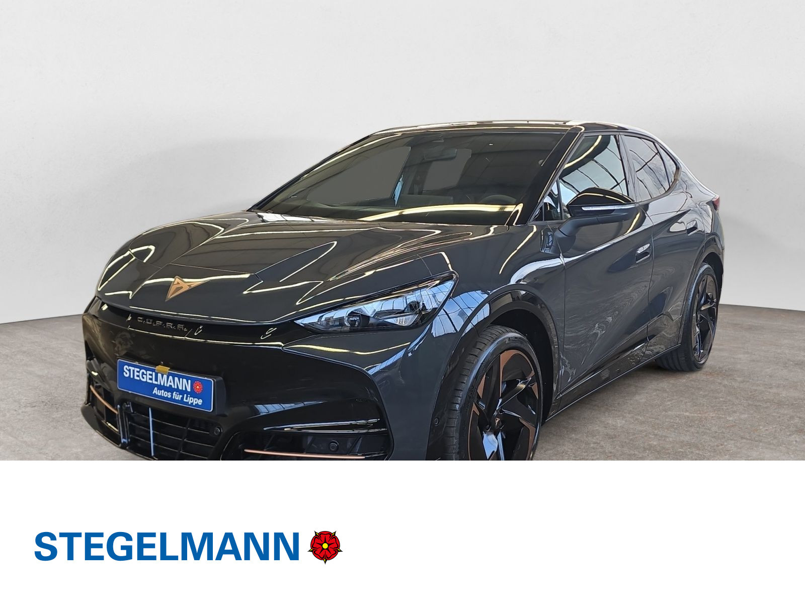 diagonal-frontansicht-aussen