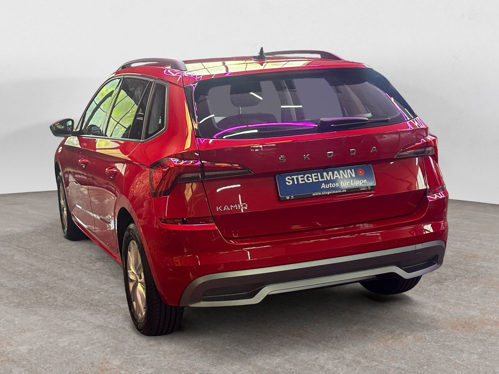 diagonalansicht-hinten-aussen