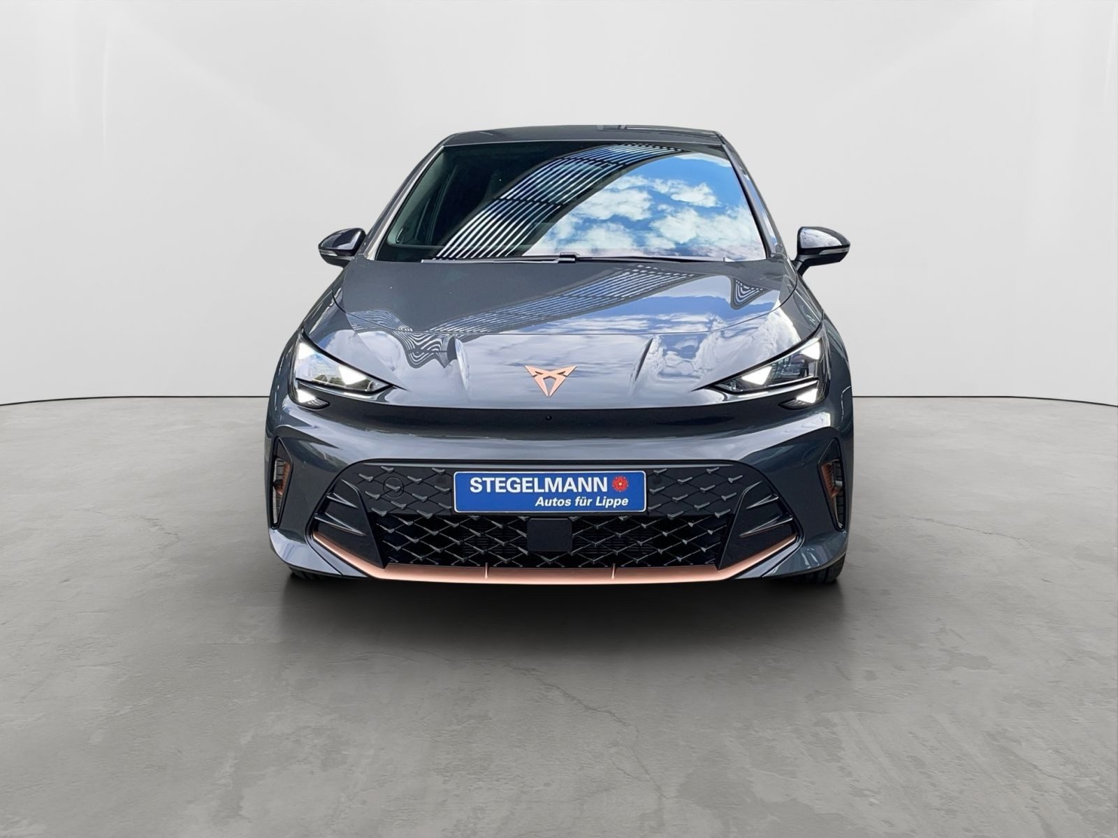 Cupra - Born_9