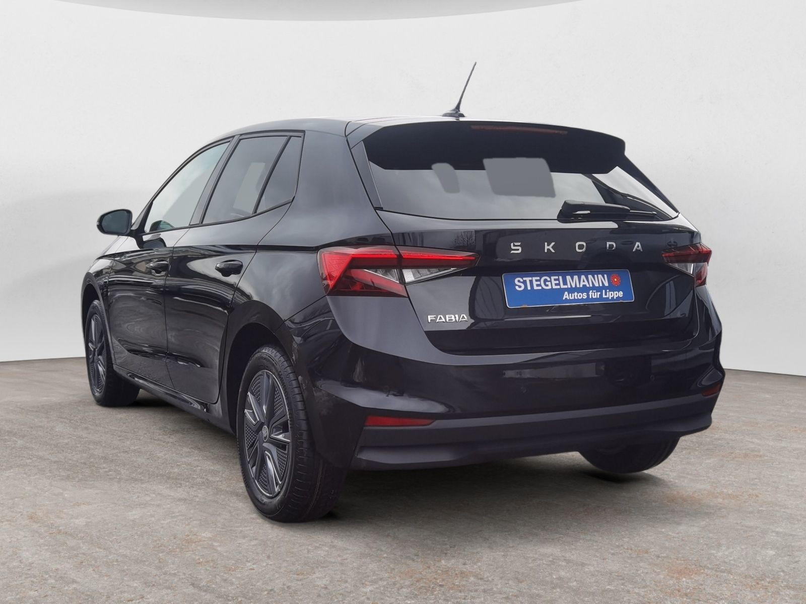 diagonalansicht-hinten-aussen