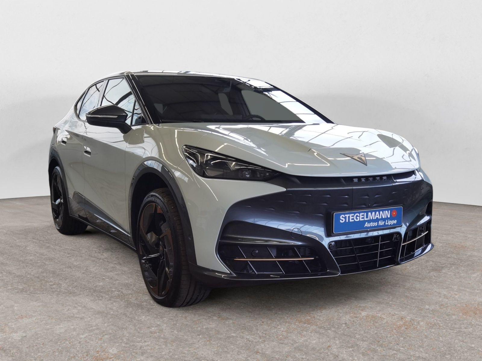 diagonal-frontansicht-aussen