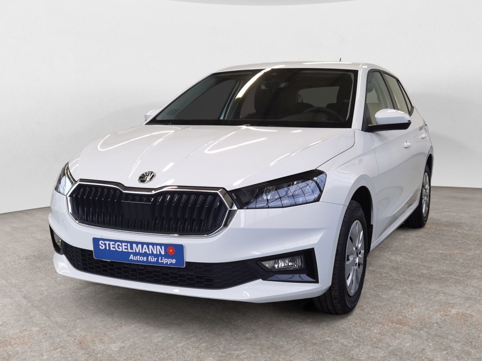 diagonal-frontansicht-aussen