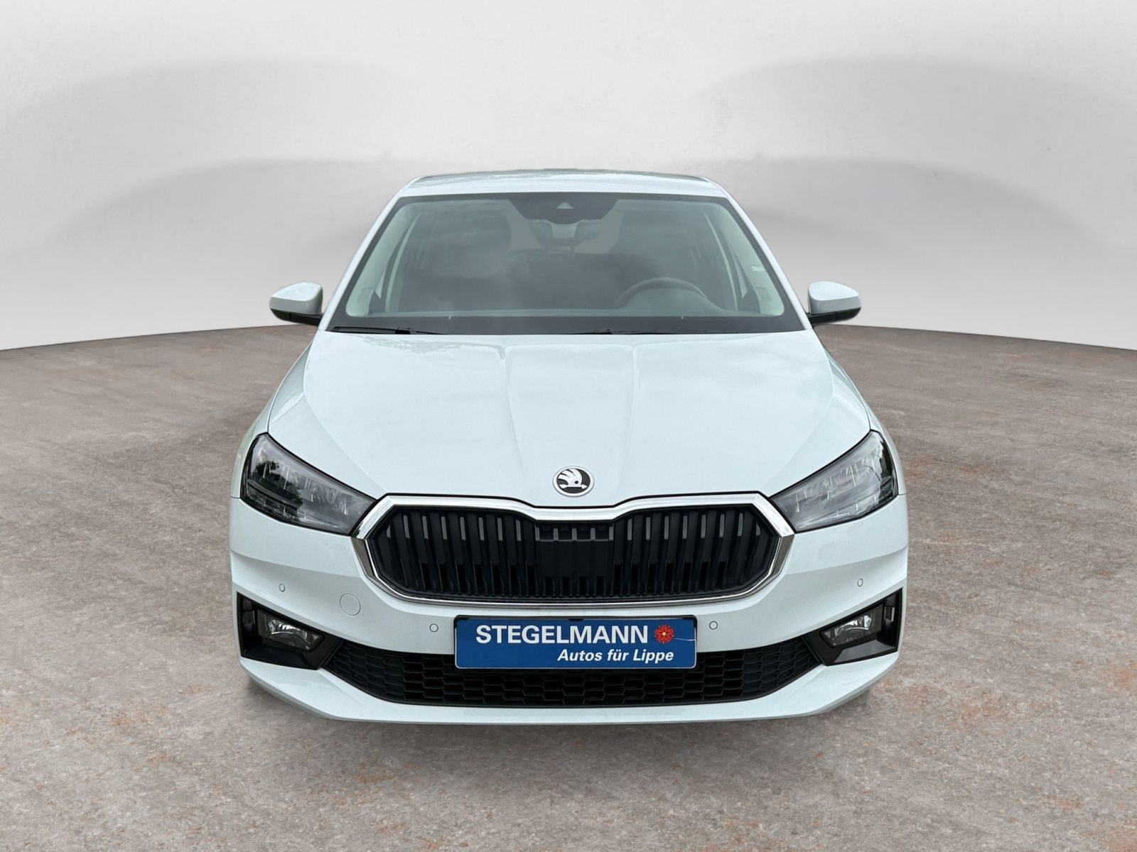 Škoda - Fabia_11
