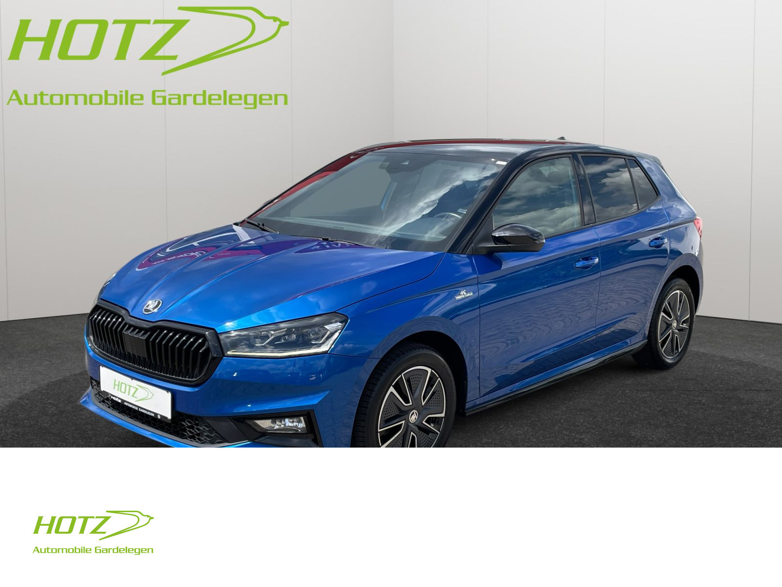 Fahrzeugbild_1