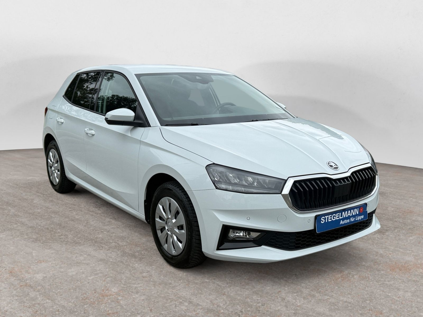 Škoda - Fabia_10