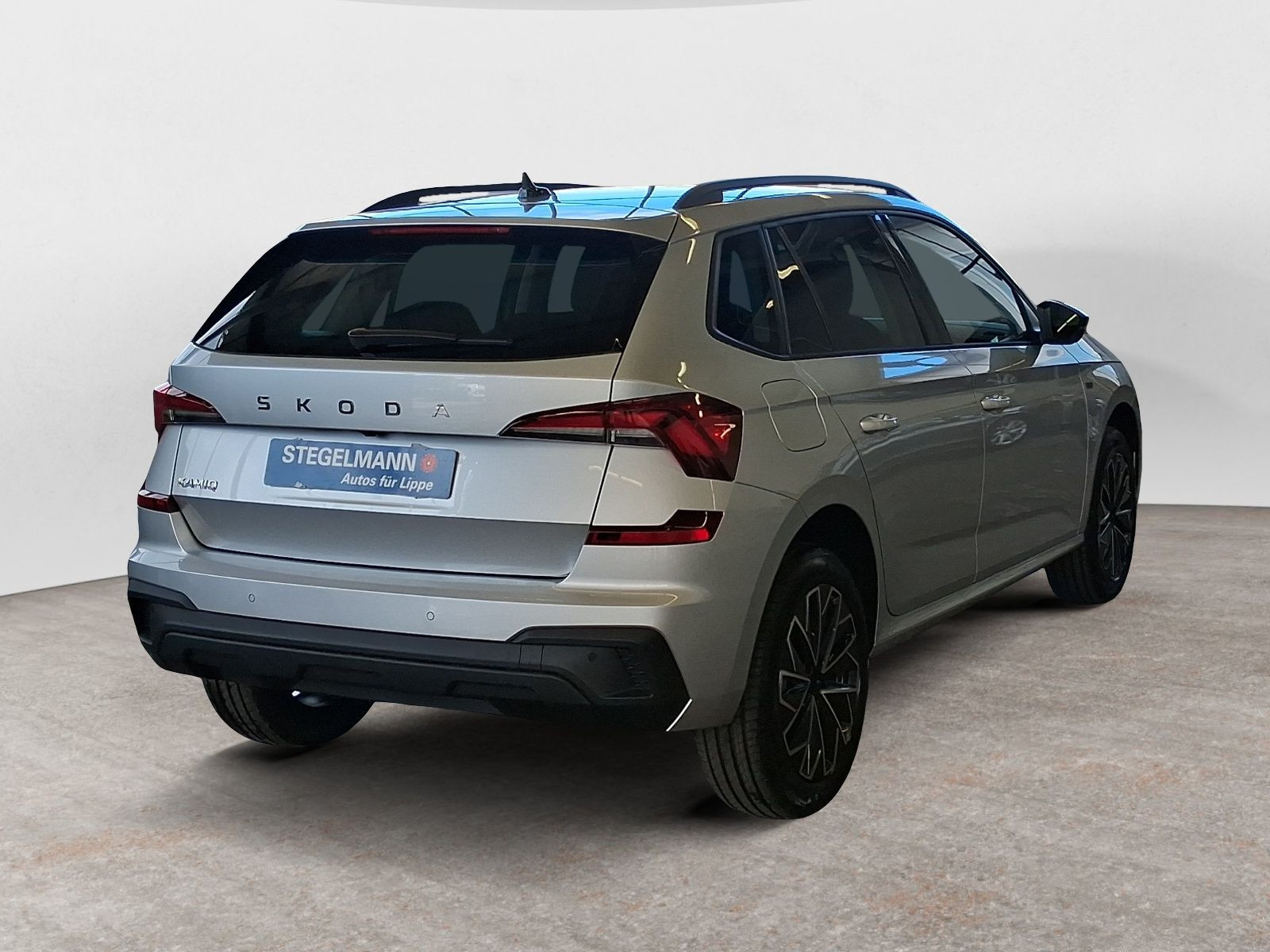 diagonalansicht-hinten-aussen