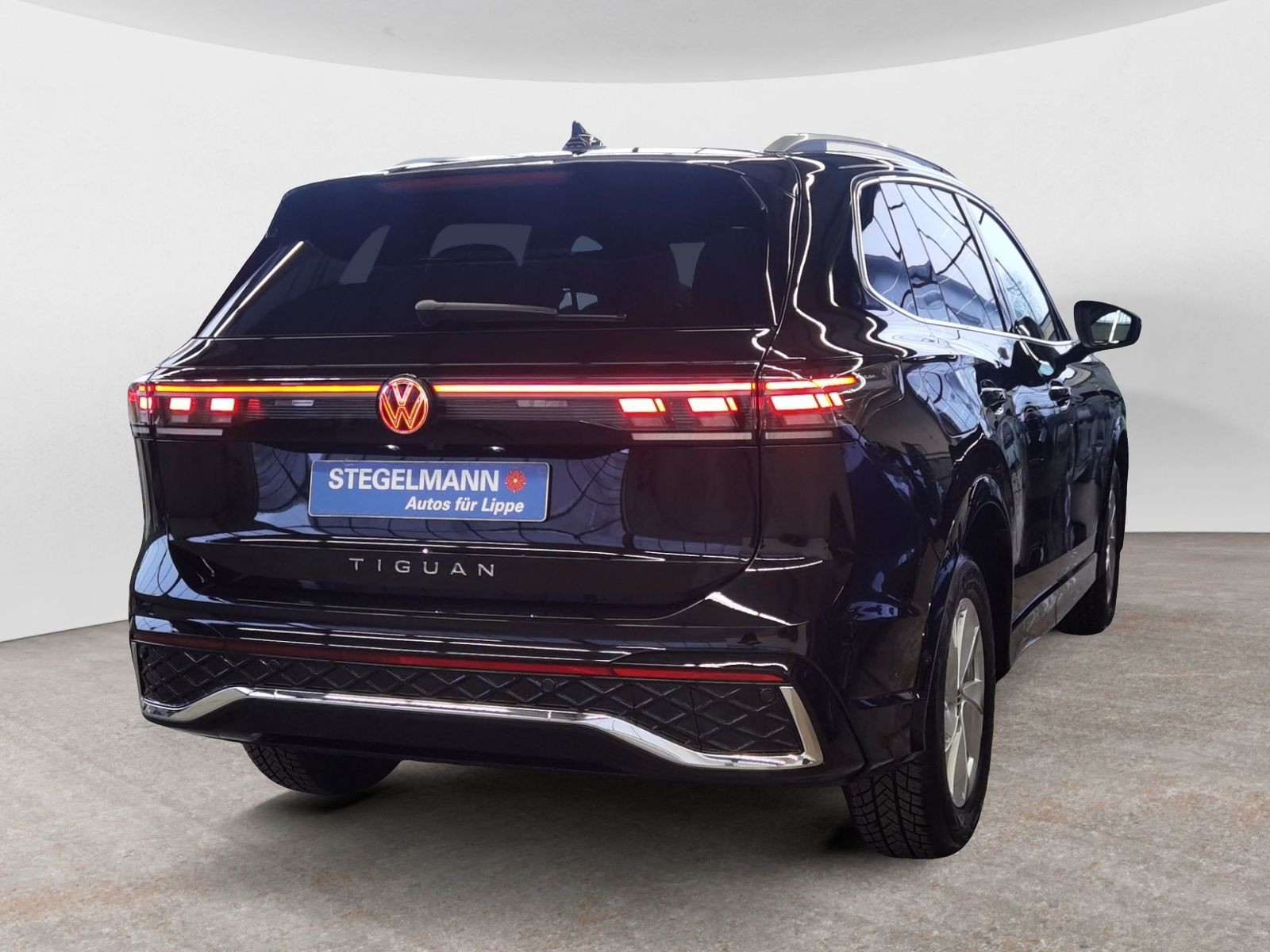 diagonalansicht-hinten-aussen